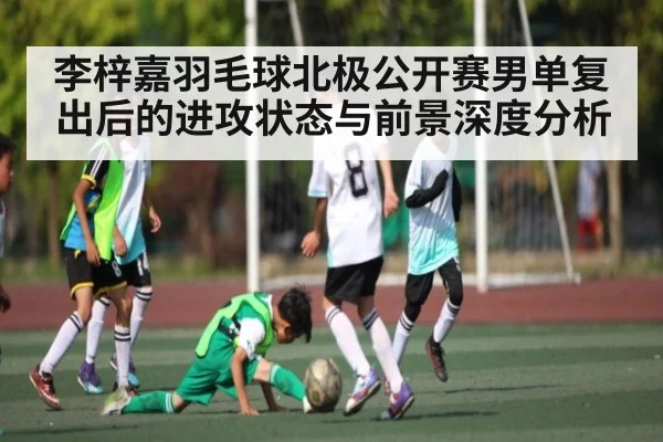 李梓嘉羽毛球北极公开赛男单复出后的进攻状态与前景深度分析