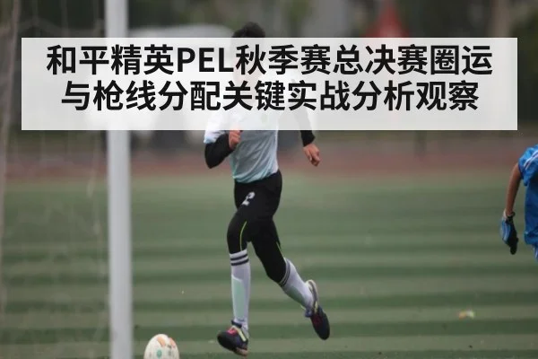 和平精英PEL秋季赛总决赛圈运与枪线分配关键实战分析观察（Xingkong）